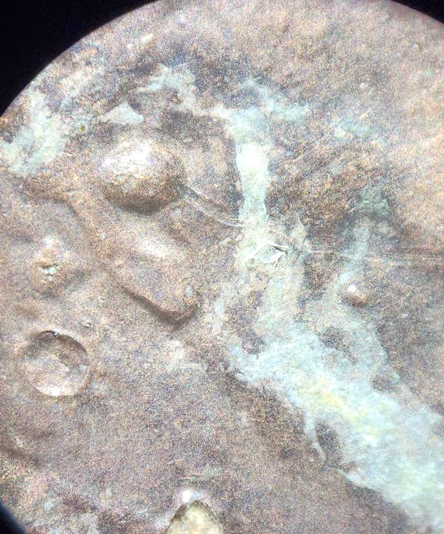 1985-D-Lincoln-Frankenstien-Penny