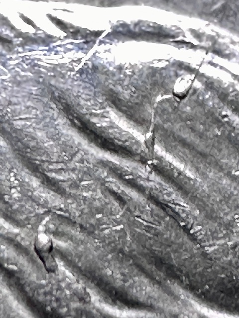 2018-P-Roosevelt-Dime--Die-Chip+-Pre-Cud?