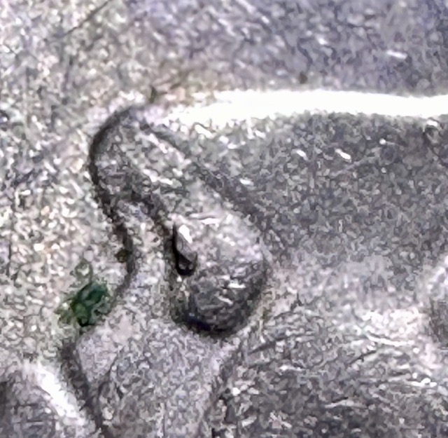 2018-P-Roosevelt-Dime--Die-Chip+-Pre-Cud?