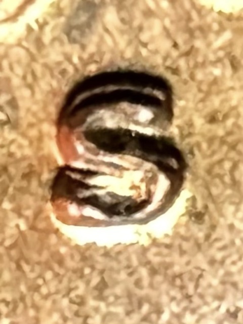 1972-S-Lincoln-Cent-RPM-003