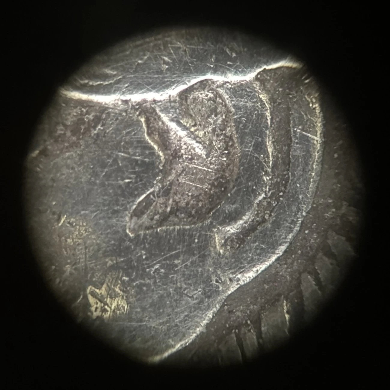 Low-Grade-1878-8TF-Morgan-VAM-Attribution-Help