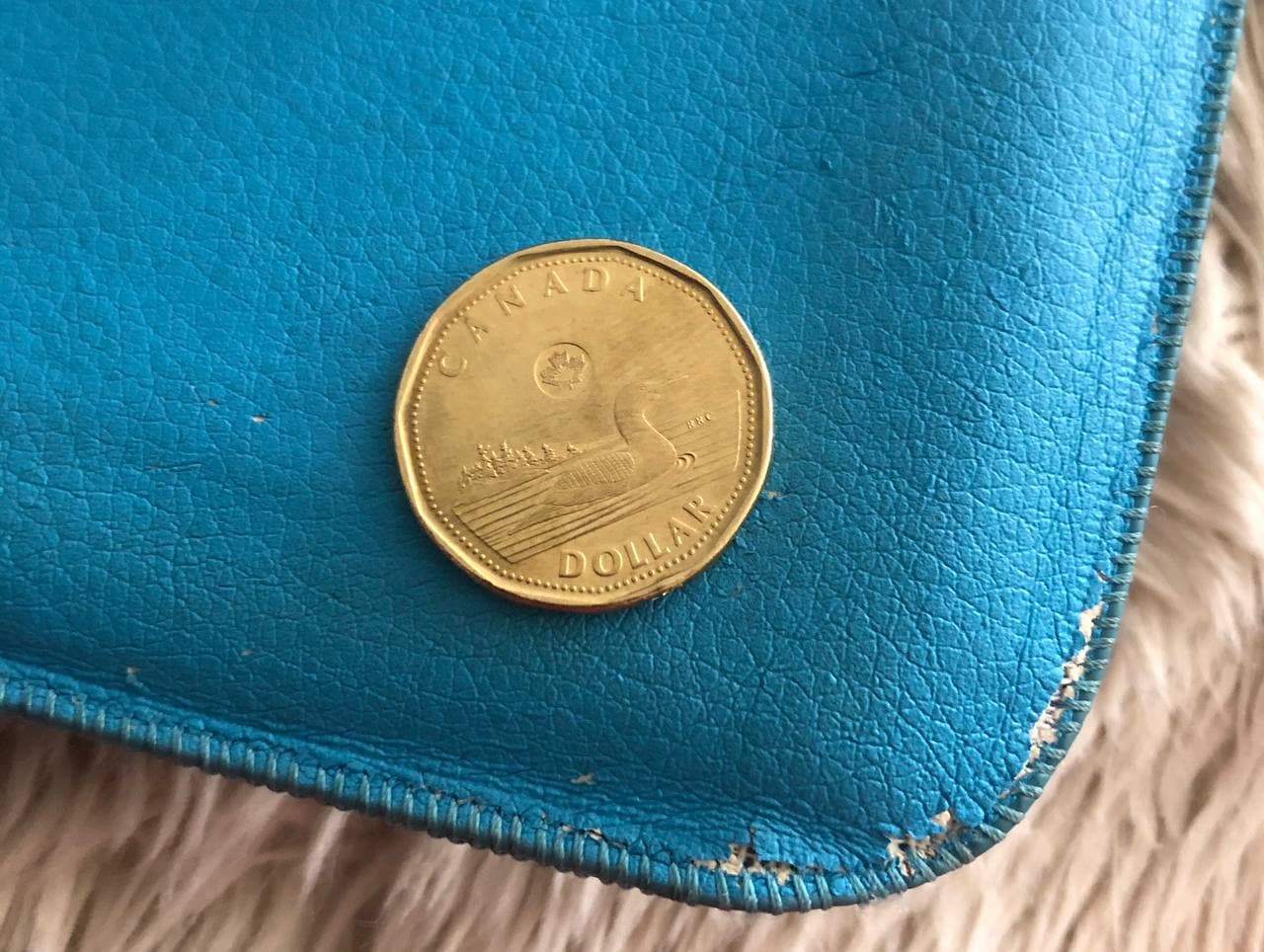 Found-A-Queen-Mask-Loonie-While-Looking-For-Mask-Twoonie,-Is-It-Real?