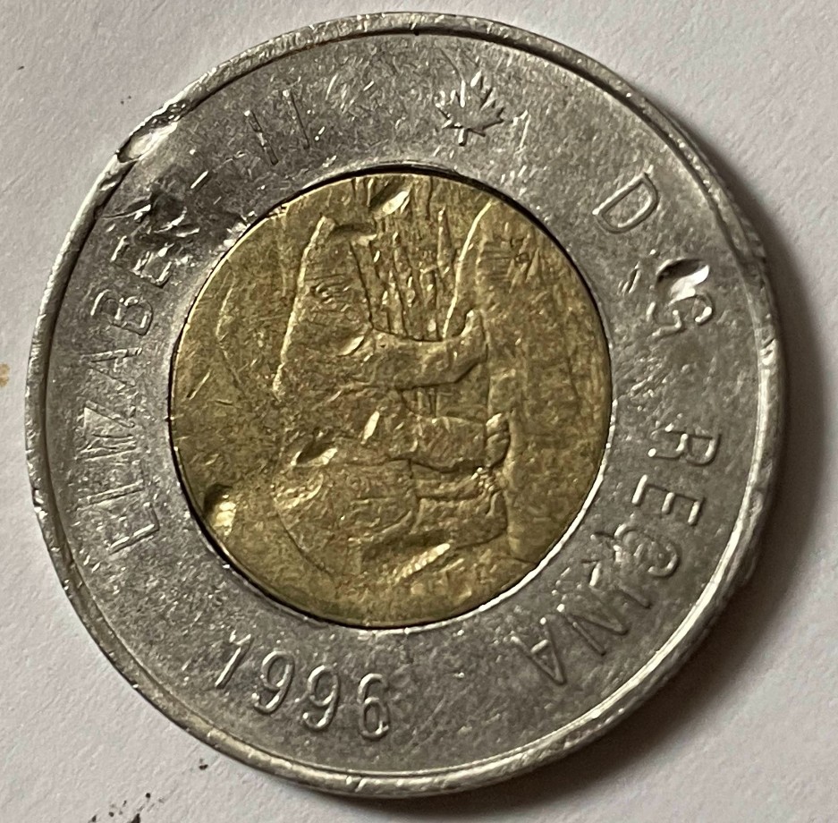 1996-Canadian-Toonie---Looks-Like-Bear-Is-Rotated?