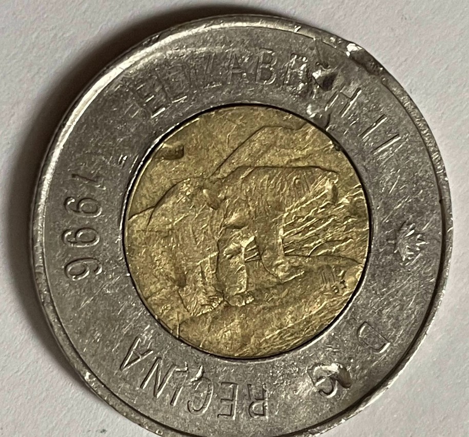 1996-Canadian-Toonie---Looks-Like-Bear-Is-Rotated?