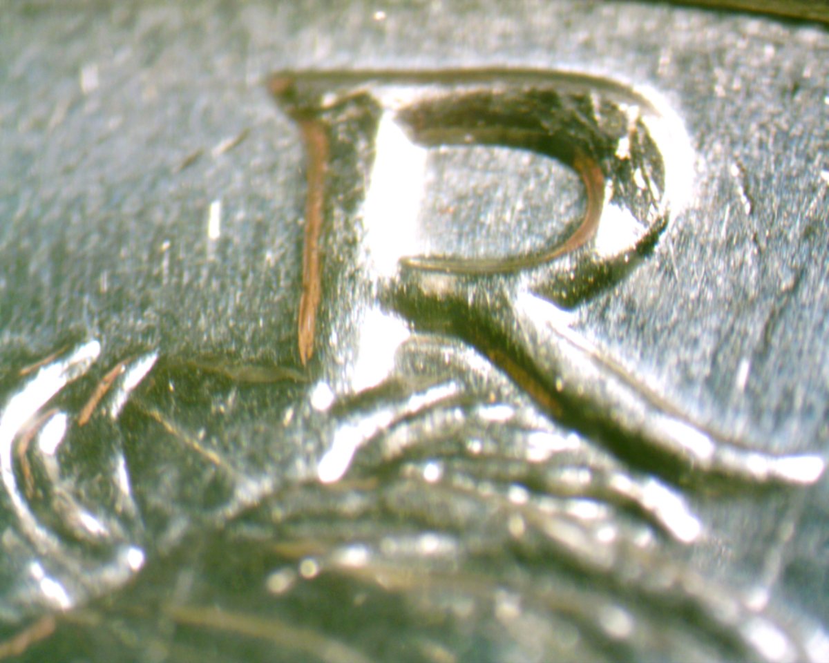 2014-D-Kennedy-Half-Dollar-With-Hair-Between-The-Legs-Of-The-