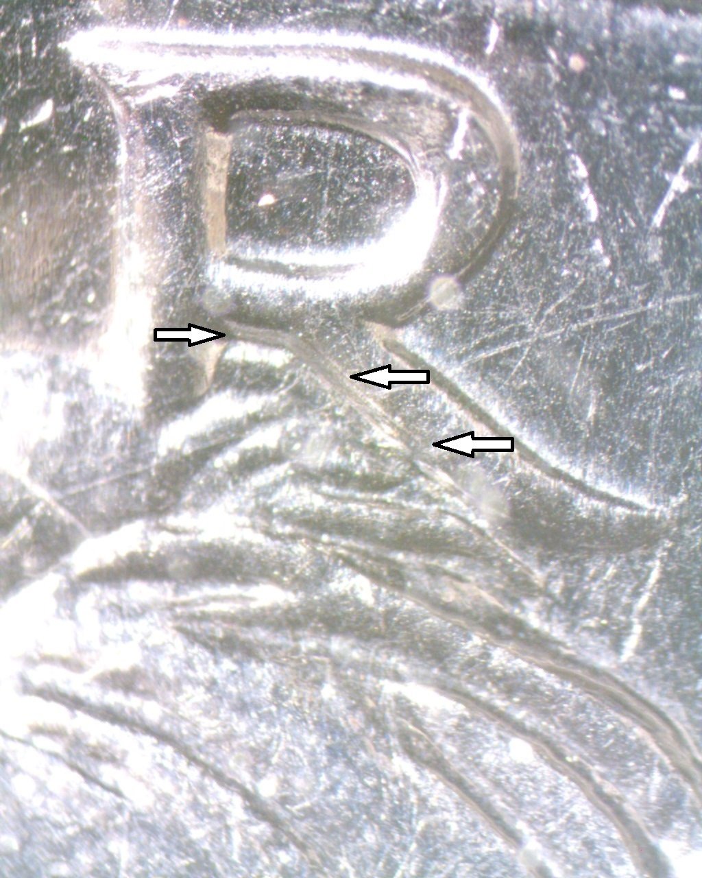 2014-D-Kennedy-Half-Dollar-With-Hair-Between-The-Legs-Of-The-