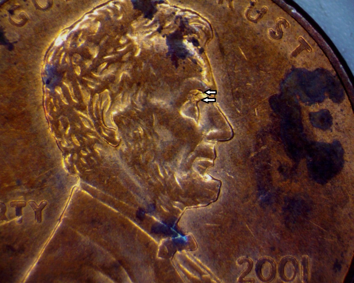 2001-D-LMC-With-Something-Going-On-With-The-Eye-Area-Of-Lincoln.