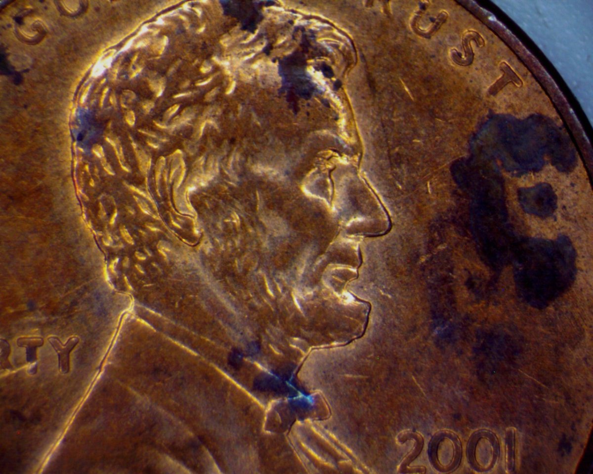 2001-D-LMC-With-Something-Going-On-With-The-Eye-Area-Of-Lincoln.