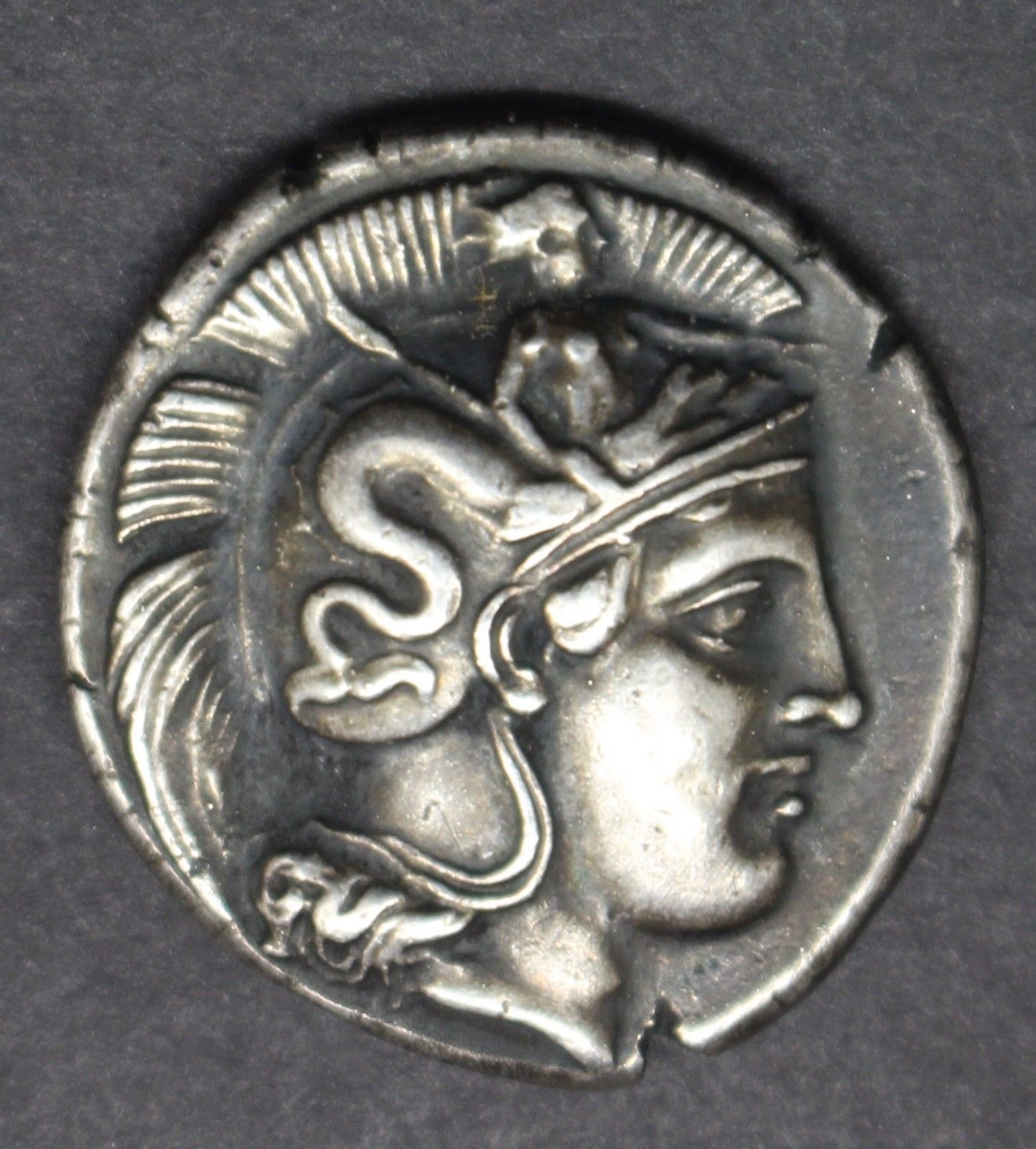 My-Last-Acquisition-:-A-Stater-From-Thourioi