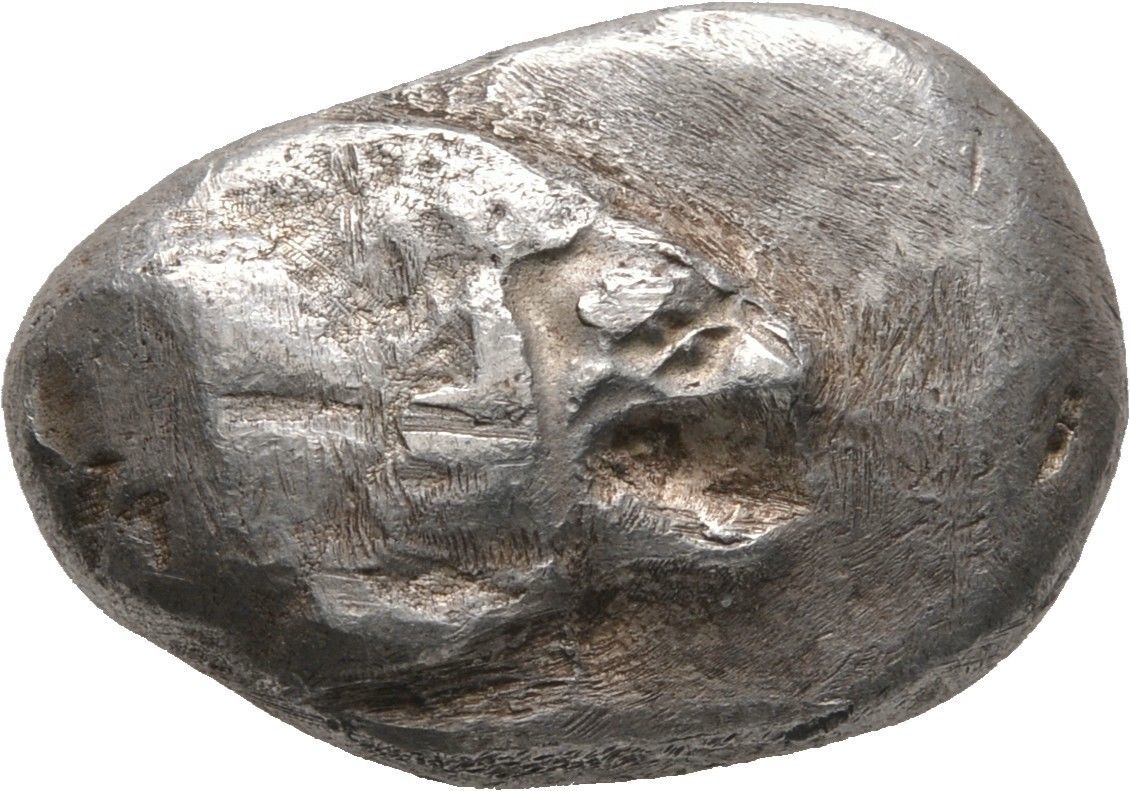 Interesting-Moray-On-A-Stater