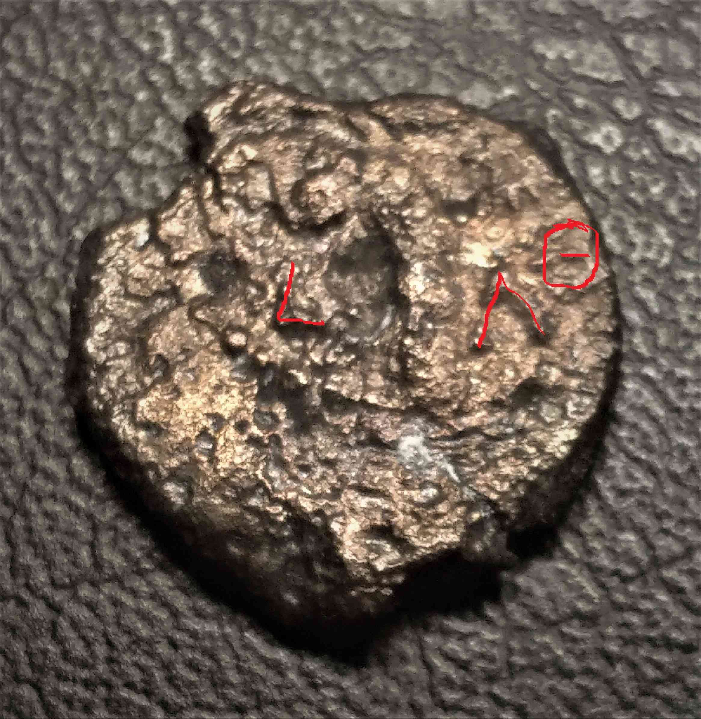 Need-Help-Id,-Please