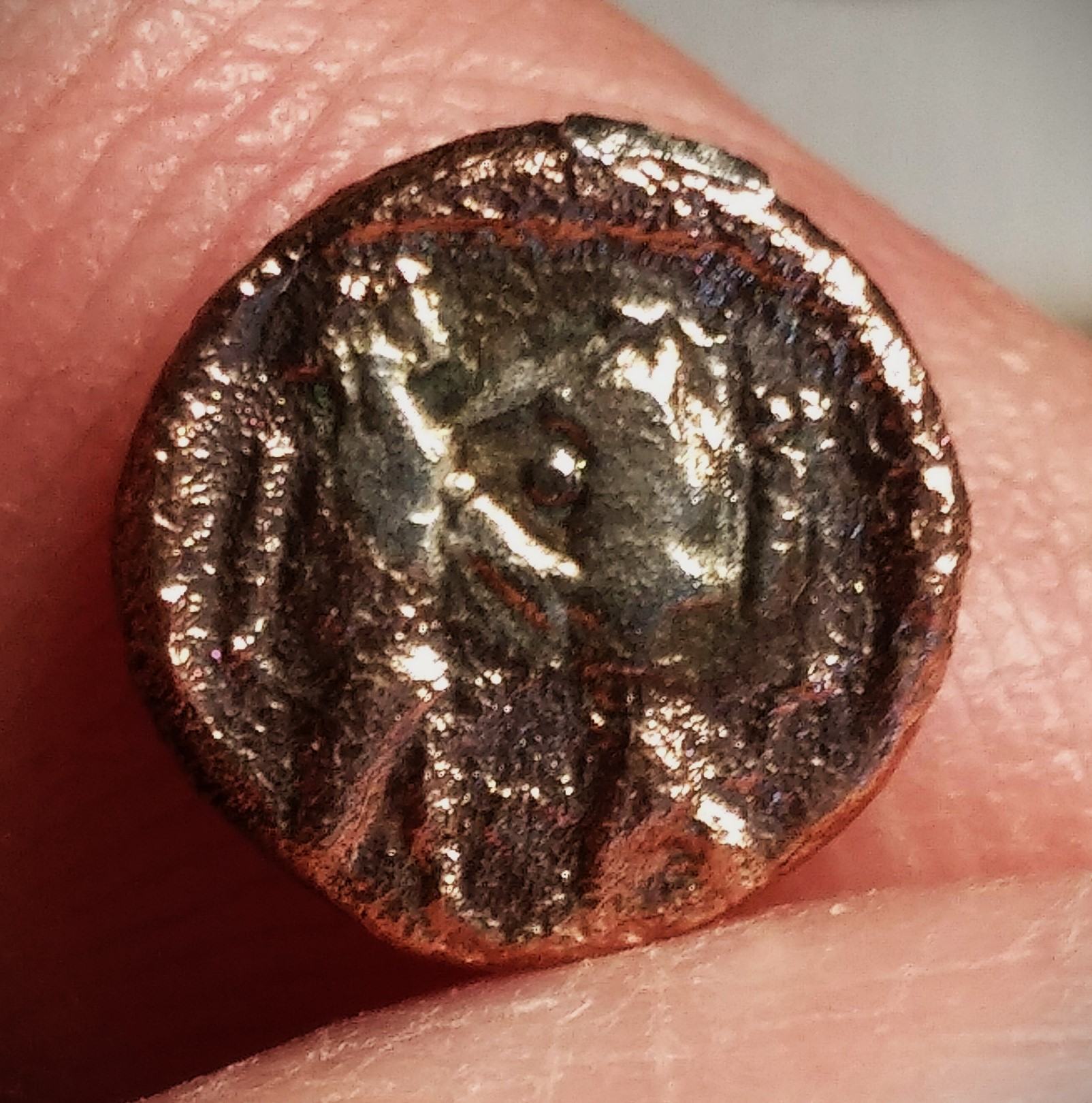 Can-Somebody-Identify-It?