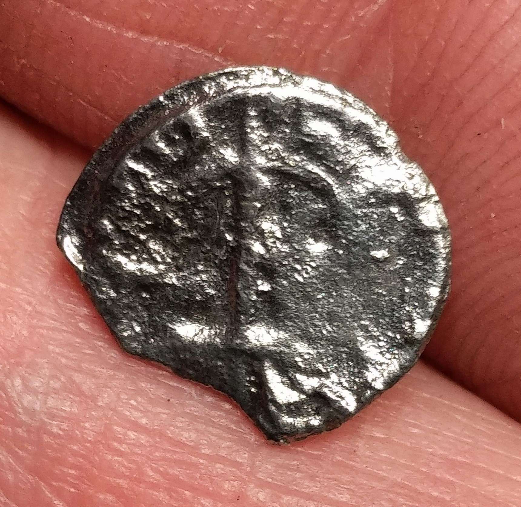 Need-Help-To-Identify