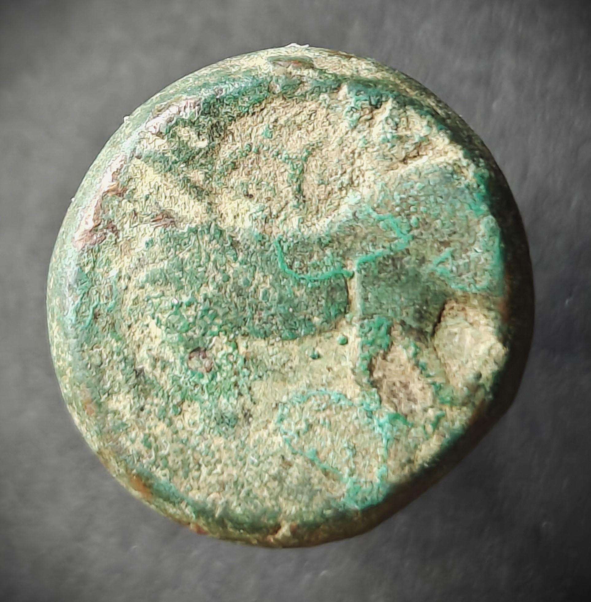 Need-Help-To-Identify