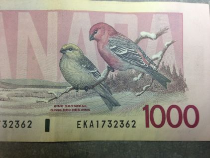 One-Thousand-Dollar-Note