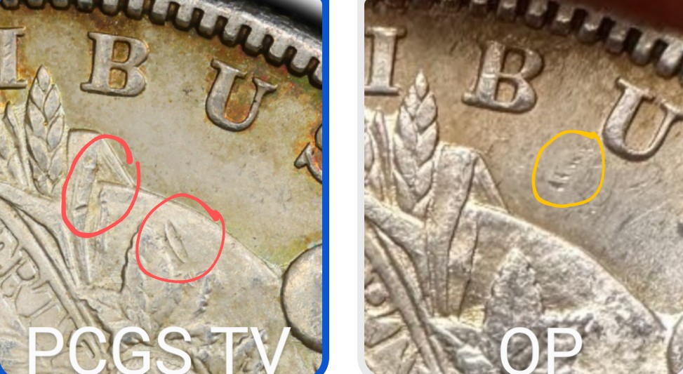 I-Had-A-1890-CC-Graded-MS-62-By-PCGS-I-Cracked-It-To-Give-It-A-3-Second-Dip-Now-I-See-Hairlines