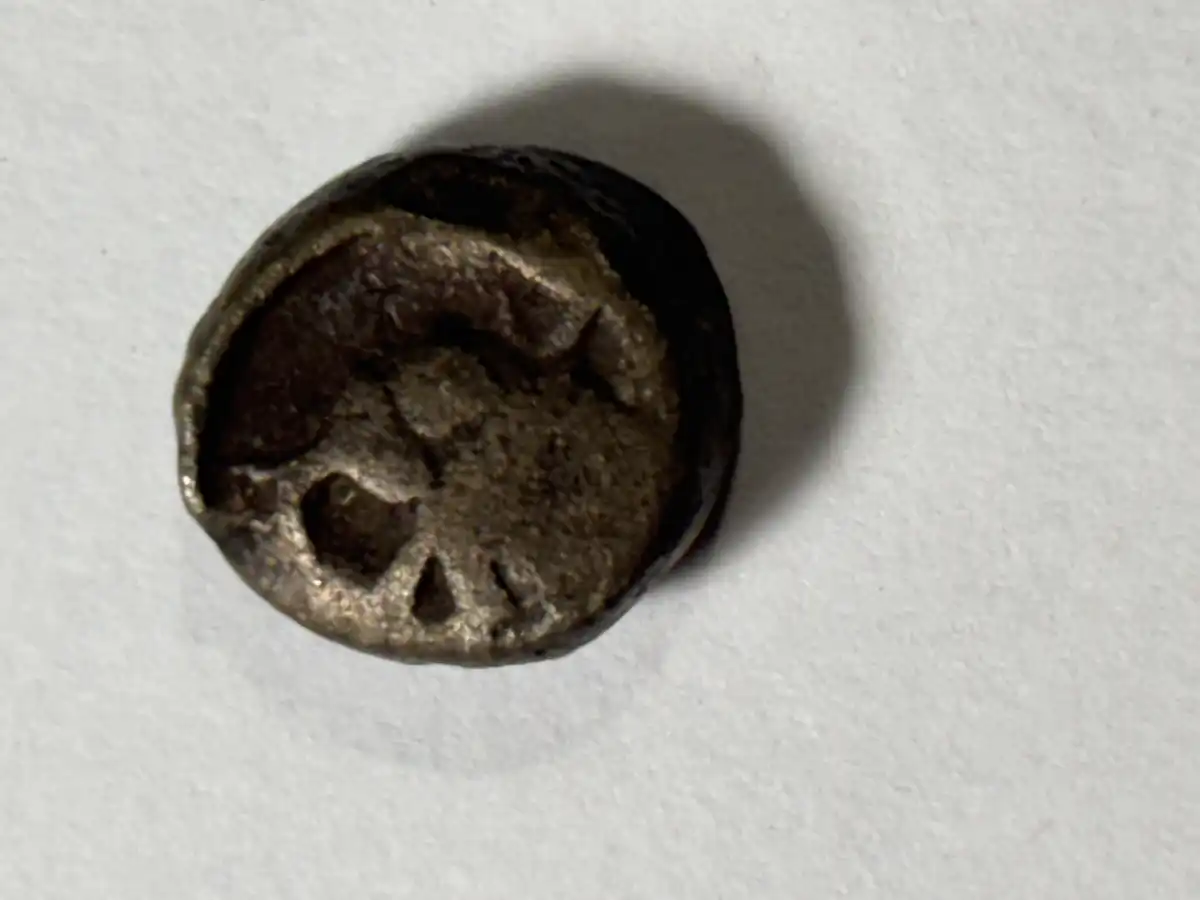 Unidentified-Indian-Coin.-Mysore?