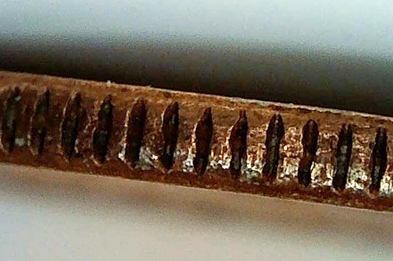 2004-D-Dime-Odd-Color-&-Texture
