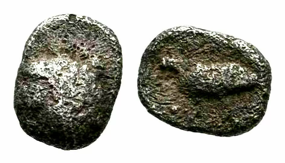 Post-Your-Tiny-Coins!