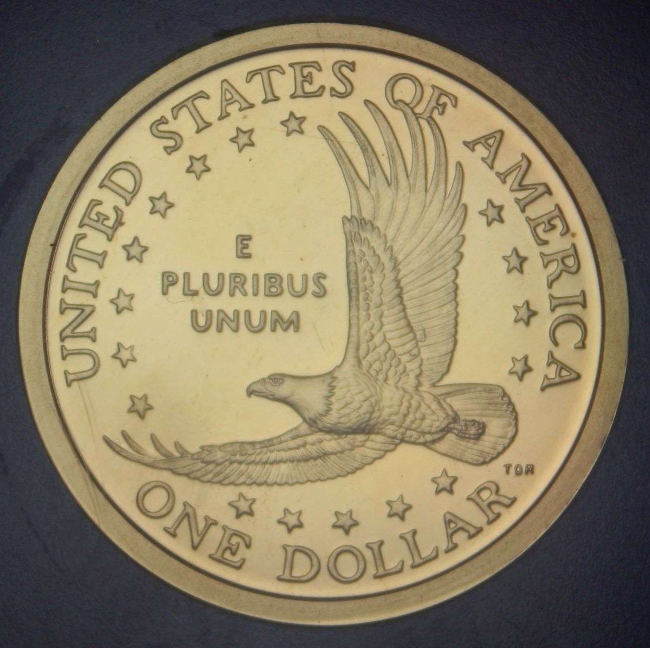 2001-S-Sacagawea-Error?-Dollar