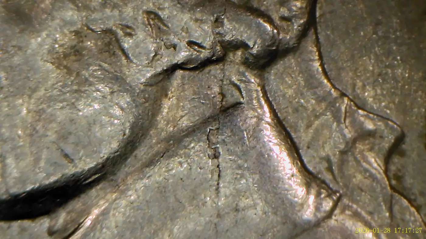 1962-D-Jefferson-Nickel-With-Possible-Lamination-Issues?