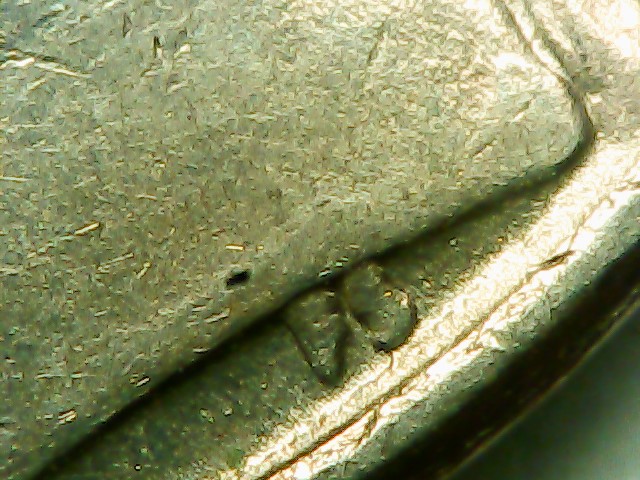 1983-D-DD-Nickel?-Thoughts?