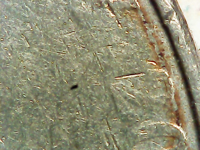 2004-P-Nickel-Stuck-Through-Grease?-Almost-All-Front-Lettering-Missing