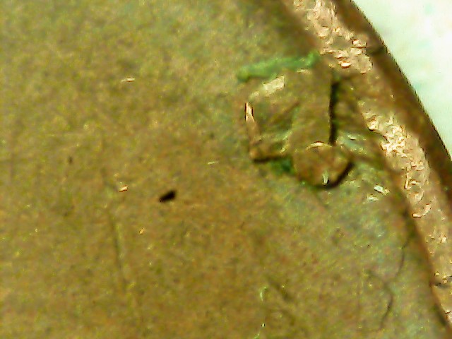 Is-This-A-Die-Break?-1958-Wheat-Penny