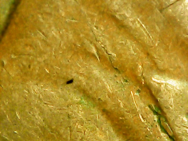 1962-D-Cent-Lamination-On-Obverse