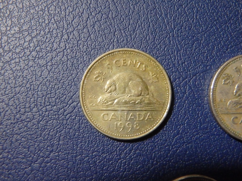 The-Great-Canadian-Nickel-Hunt