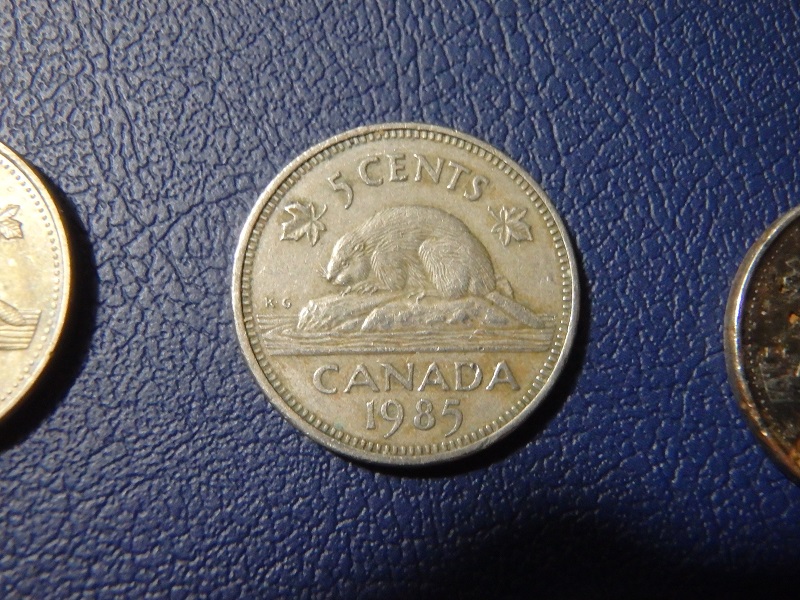 The-Great-Canadian-Nickel-Hunt