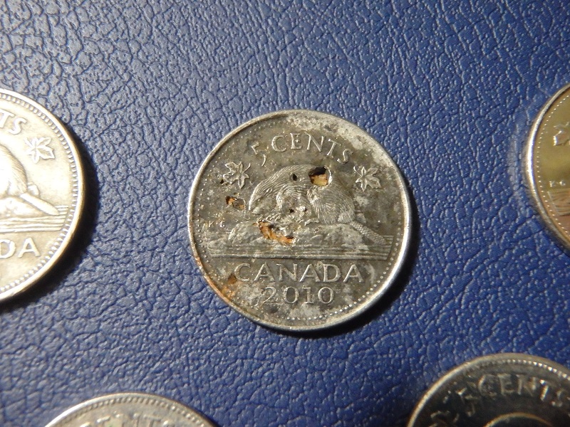 The-Great-Canadian-Nickel-Hunt