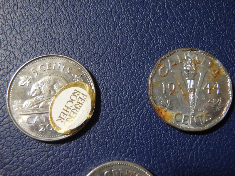 The-Great-Canadian-Nickel-Hunt