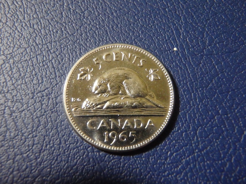 The-Great-Canadian-Nickel-Hunt