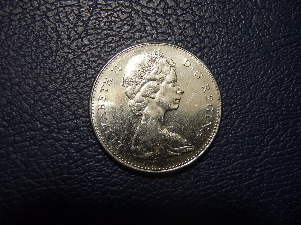 The-Great-Canadian-Nickel-Hunt