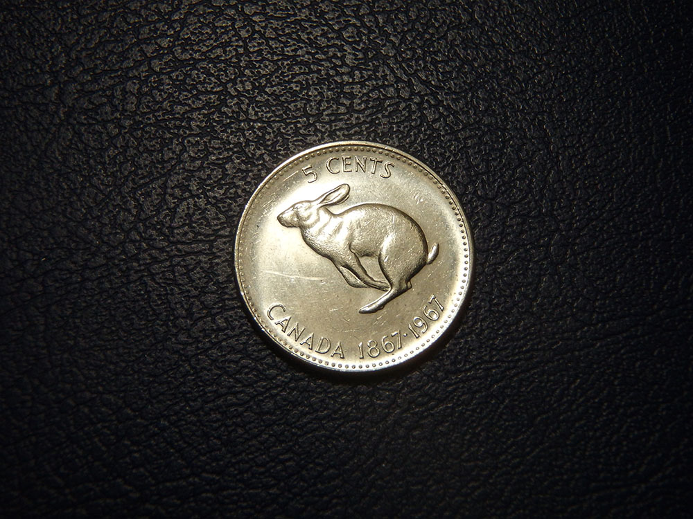 The-Great-Canadian-Nickel-Hunt
