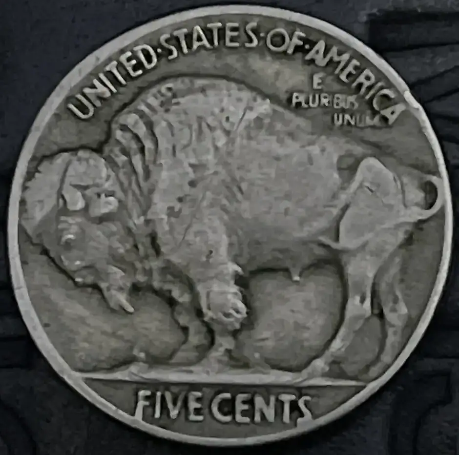 A-Buffalo-Nickel---What-Do-You-Think?