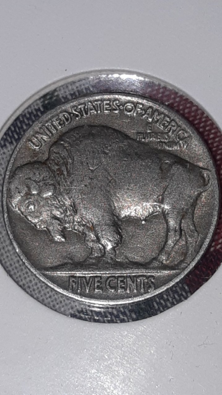 Buffalo-Five-Cents-1937-For-Grading