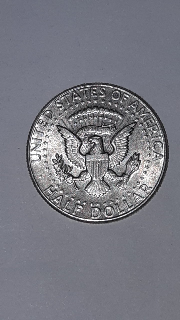 Kennedy-Half-Dollar-1964-For-Grading