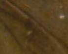 1986-Lincoln-Memorial-Cent---Raised-Metal-On-Lincoln-Chest