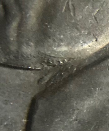 Is-This-Toning-On-5-Cent-Coin?