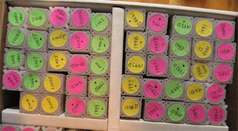 Organizing-My-LWC-Hoard