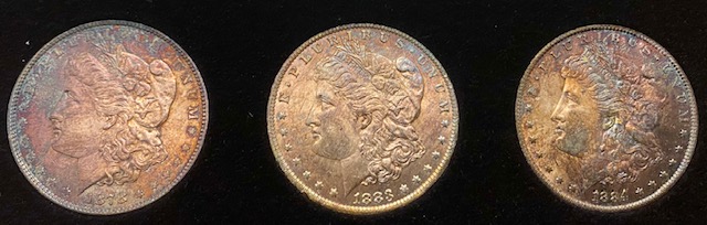 What-Grade-Morgans-And-?-Worth-Cost-Of-Grading