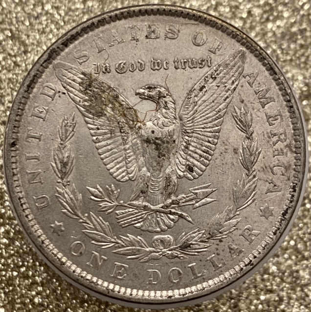Should-And-How-Would-I-Clean-This-Morgan-1890