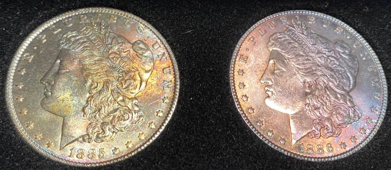 What-Grade-Morgans-And-?-Worth-Cost-Of-Grading
