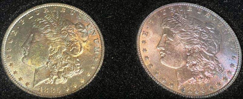 What-Grade-Morgans-And-?-Worth-Cost-Of-Grading
