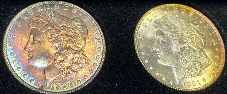 What-Grade-Morgans-And-?-Worth-Cost-Of-Grading