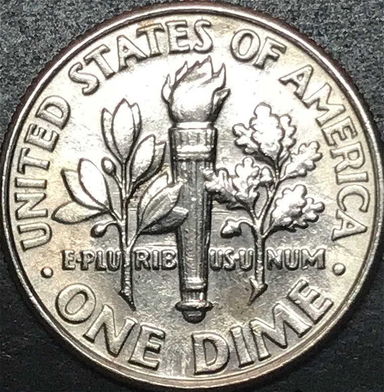 2007-P-Roosevelt-Dime-Reverse-Error?