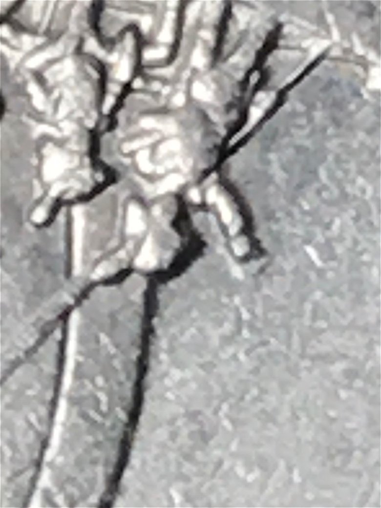 2004-D-Jefferson-Nickel-Lewis-And-Clark