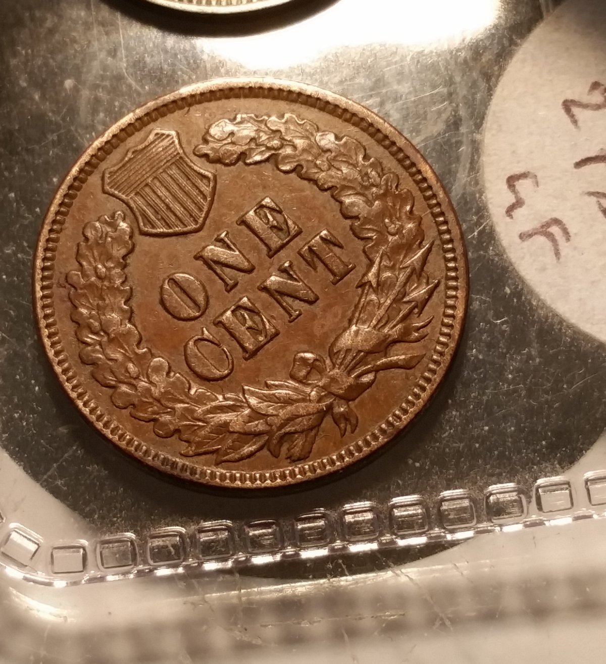 51-Days-Of-Flying-Eagle-And-Indian-Head-Cents!---Part-4!!